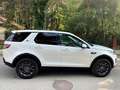Land Rover Discovery Sport Discovery Sport TD4 Aut.HSE Weiß - thumbnail 6