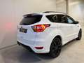 Ford Kuga 4WD *ST-LINE*19-ZOLL*AHK:* Weiß - thumbnail 12