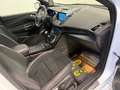 Ford Kuga 4WD *ST-LINE*19-ZOLL*AHK:* Weiß - thumbnail 23