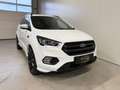 Ford Kuga 4WD *ST-LINE*19-ZOLL*AHK:* Weiß - thumbnail 9