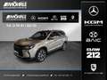 DFM Forthing 3 Forthing 3 Exclusive LED Panorama-SHD Kamera Grau - thumbnail 1