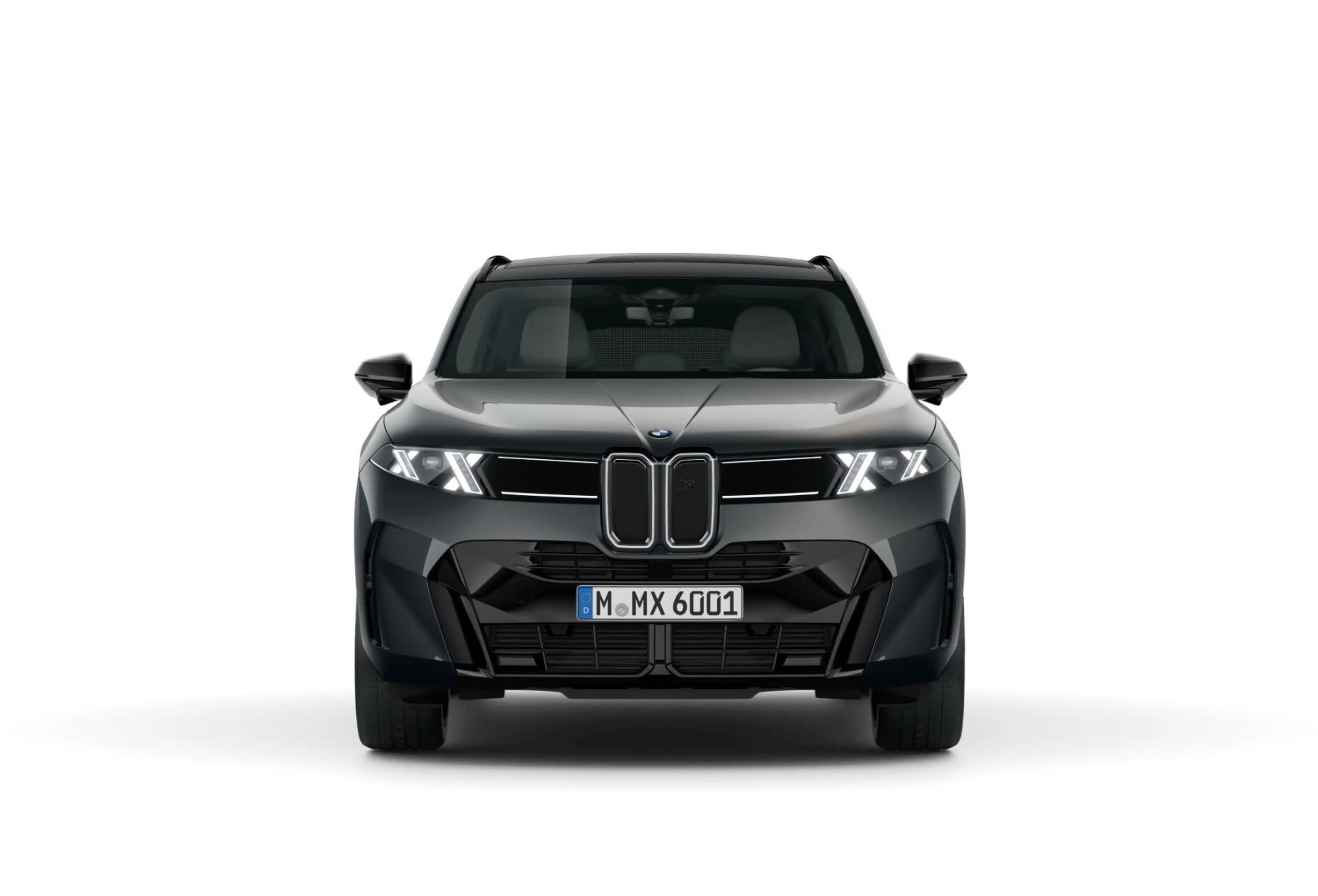 BMW X5 40d xDrive M Sportpaket Pro Parking Assist. Prof. — photo 2