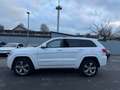 Jeep Grand Cherokee 3.0 CRD *OVERLAND*MOTORSCHADEN Blanc - thumbnail 5