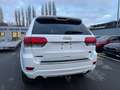 Jeep Grand Cherokee 3.0 CRD *OVERLAND*MOTORSCHADEN Blanc - thumbnail 8