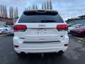 Jeep Grand Cherokee 3.0 CRD *OVERLAND*MOTORSCHADEN Blanc - thumbnail 9