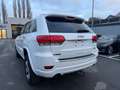 Jeep Grand Cherokee 3.0 CRD *OVERLAND*MOTORSCHADEN Blanc - thumbnail 7