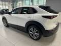 Mazda CX-30 2.0 M-Hybrid Executive App. Pack 2wd 122 CV Bianco - thumbnail 6