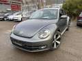 Volkswagen Beetle The Beetle 1.4 TSI Design "Scheckheft" Navi-Xenon Grau - thumbnail 1