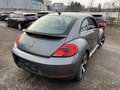 Volkswagen Beetle The Beetle 1.4 TSI Design "Scheckheft" Navi-Xenon Grau - thumbnail 2