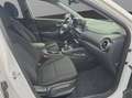Hyundai KONA Kona 1,0T Intro Edition *1.HAND*NAVI*KAMERA*19ZOLL Weiß - thumbnail 14