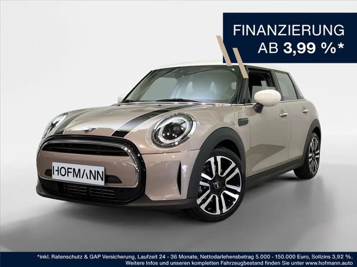 MINI Cooper Classic Trim Gris - 1