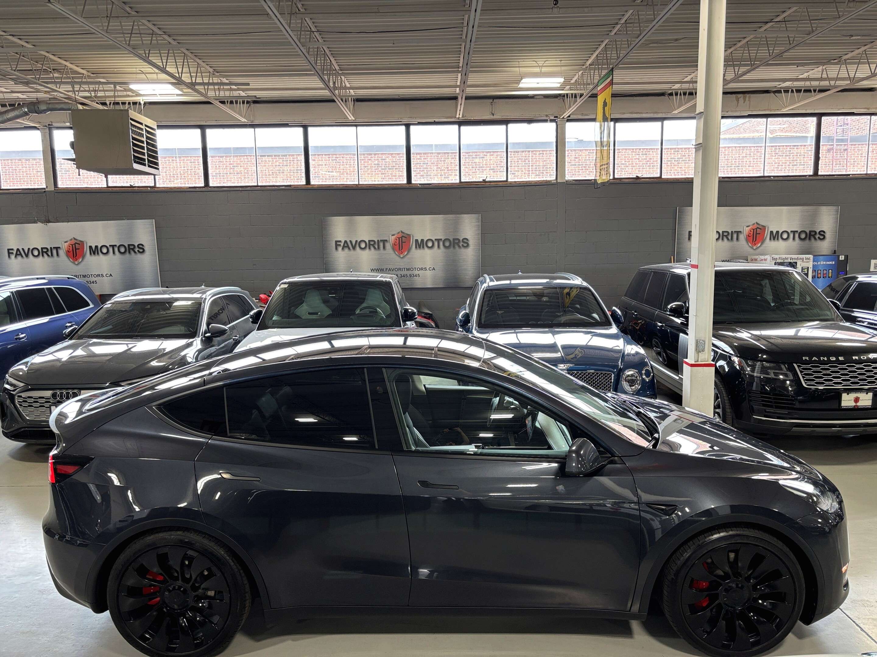2024 Tesla Model Y