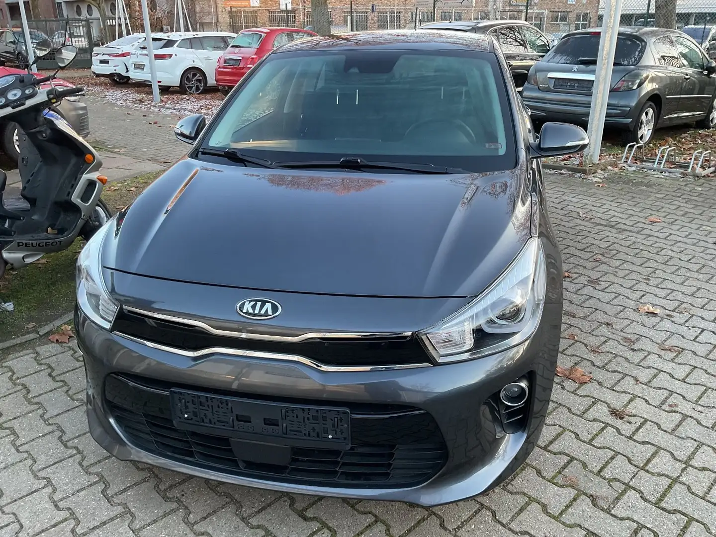 Kia Rio Dream Team Grau - 1