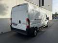 Citroen Jumper 2.2 HDi L3H2 / 1 propriétaire !! 38.000km ! Blanc - thumbnail 5