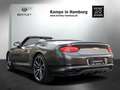 Bentley Continental GTC V8 Carbon Ceramic Sport Styling Braun - thumbnail 5