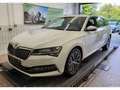 Skoda Superb Combi L&K 2.0 TDI DSG 4x4 AHK Navi Kamera Weiß - thumbnail 2
