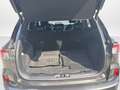 Ford Kuga Ford Kuga 2,0 EcoBlue AWD ST-Line X Aut. Grau - thumbnail 10
