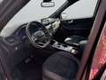 Ford Kuga Ford Kuga 2,0 EcoBlue AWD ST-Line X Aut. Grau - thumbnail 8