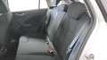 Skoda Scala 1.0 TSI 110 CV Ambition Bianco - thumbnail 13