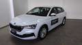 Skoda Scala 1.0 TSI 110 CV Ambition Bianco - thumbnail 6