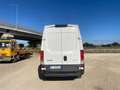 Iveco Daily Furgone 35S14 2.3 140CV Bianco - thumbnail 6