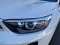 Kia Stonic SILBER 1.0 DC *7 Jahre Werksgarantie, Automatik, L Bianco - thumbnail 13