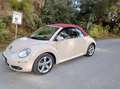 Volkswagen New Beetle New Beetle Cabrio 1.9 tdi limited Red Edition Beige - thumbnail 1