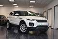 Land Rover Range Rover Evoque 2,0 D 2WD Pure Temp PDC 1Hand Weiß - thumbnail 14