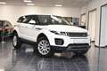 Land Rover Range Rover Evoque 2,0 D 2WD Pure Temp PDC 1Hand Weiß - thumbnail 1