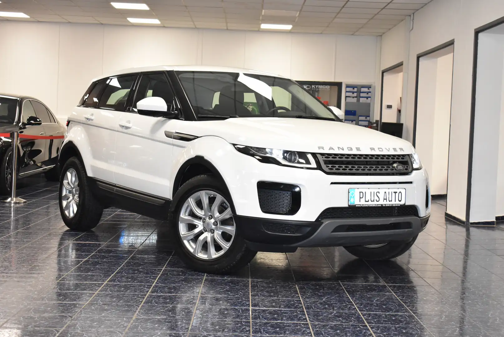 Land Rover Range Rover Evoque 2,0 D 2WD Pure Temp PDC 1Hand Weiß - 1