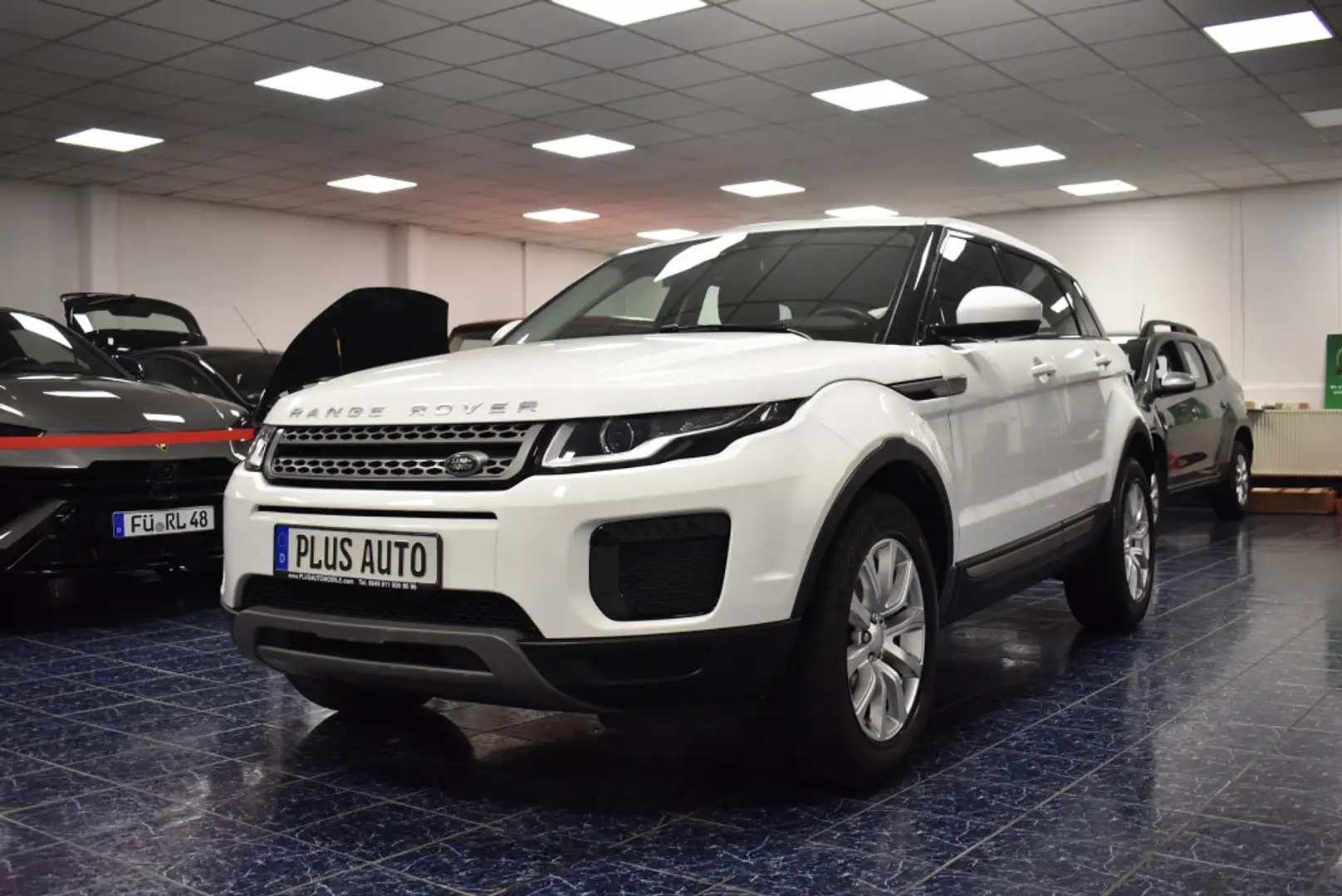 Land Rover Range Rover Evoque 2,0 D 2WD Pure Temp PDC 1Hand Weiß - 2