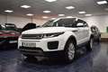 Land Rover Range Rover Evoque 2,0 D 2WD Pure Temp PDC 1Hand Weiß - thumbnail 2