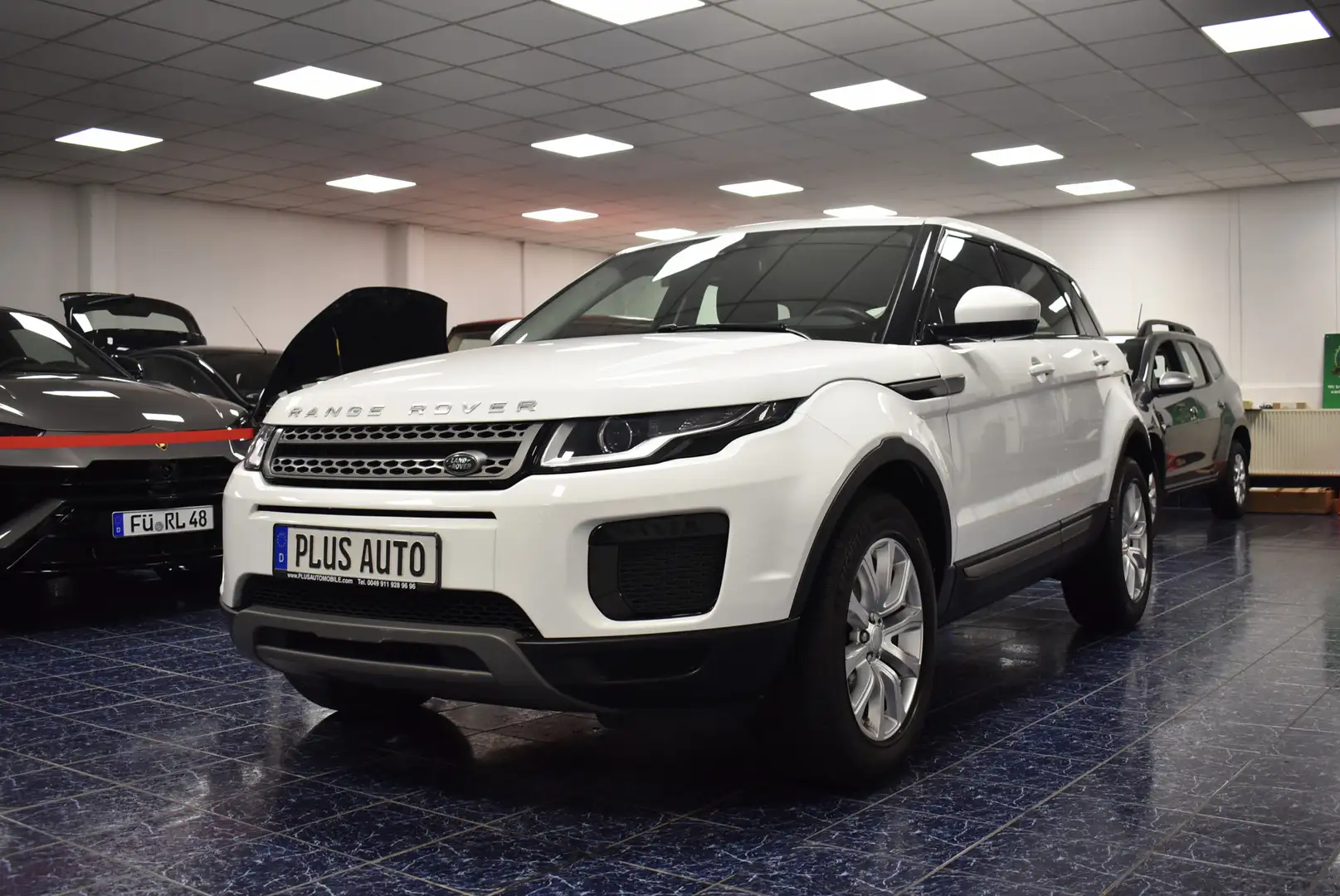 Land Rover Range Rover Evoque 2,0 D 2WD Pure Temp PDC 1Hand Weiß - 2