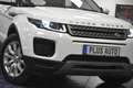 Land Rover Range Rover Evoque 2,0 D 2WD Pure Temp PDC 1Hand Weiß - thumbnail 15
