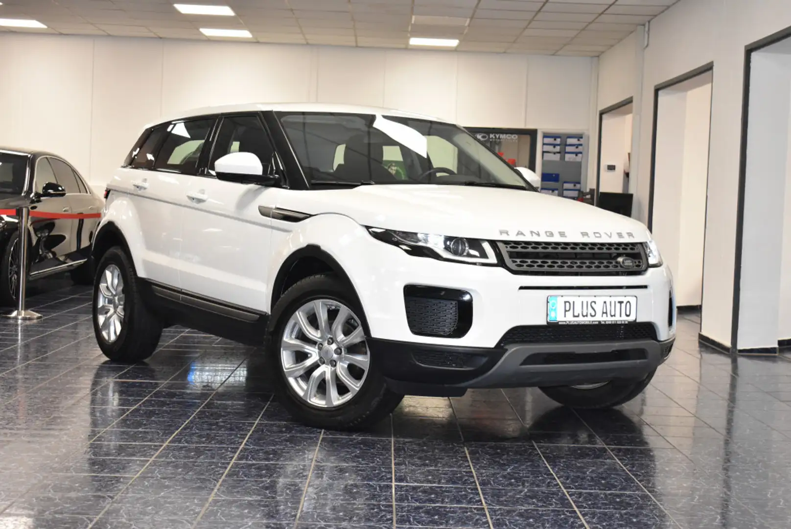 Land Rover Range Rover Evoque 2,0 D 2WD Pure Temp PDC 1Hand Weiß - 1