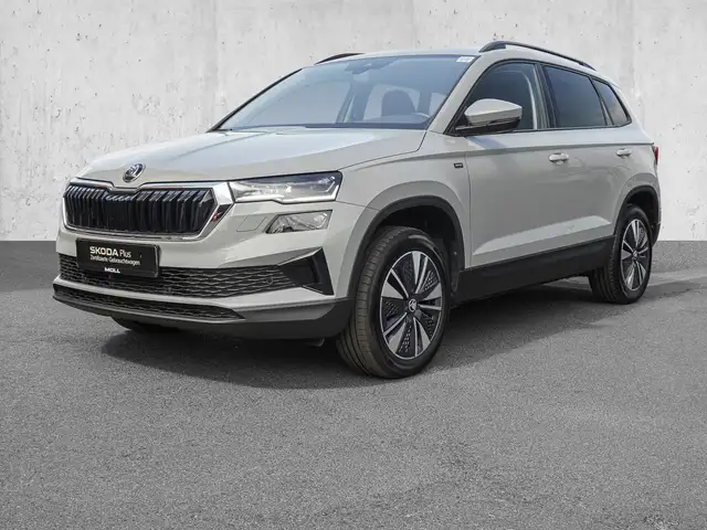 Skoda Karoq view 2