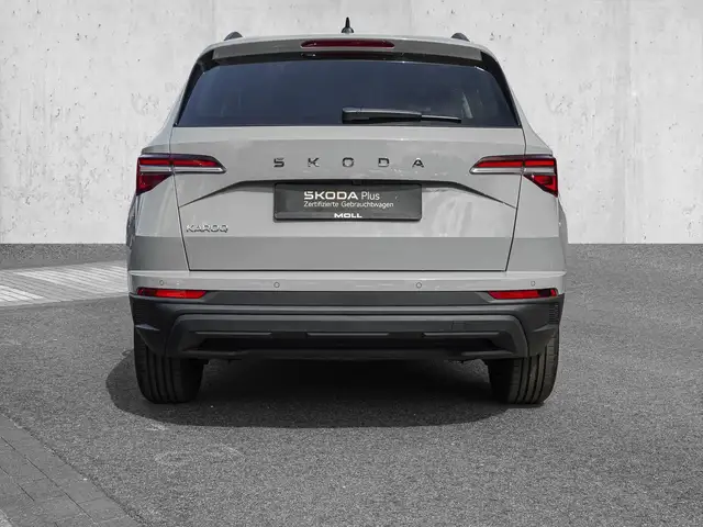 Skoda Karoq view 6