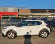 Citroen C3 C3 PureTech 82 105g Feel Business Blanc - thumbnail 2
