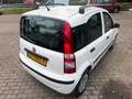 Fiat Panda 1.2 Edizione Cool Blanco - thumbnail 7