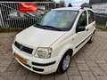 Fiat Panda 1.2 Edizione Cool Blanco - thumbnail 4