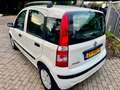 Fiat Panda 1.2 Edizione Cool Blanco - thumbnail 5