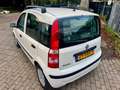 Fiat Panda 1.2 Edizione Cool Blanco - thumbnail 6