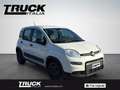 Fiat New Panda - Panda van 1.0 hybrid Street 70cv 4p.ti serie 4 E Blanc - thumbnail 3