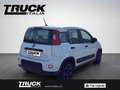 Fiat New Panda - Panda van 1.0 hybrid Street 70cv 4p.ti serie 4 E Blanc - thumbnail 8