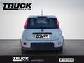 Fiat New Panda - Panda van 1.0 hybrid Street 70cv 4p.ti serie 4 E Blanc - thumbnail 7