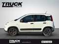Fiat New Panda - Panda van 1.0 hybrid Street 70cv 4p.ti serie 4 E Blanc - thumbnail 5