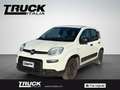 Fiat New Panda - Panda van 1.0 hybrid Street 70cv 4p.ti serie 4 E Blanc - thumbnail 2