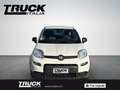 Fiat New Panda - Panda van 1.0 hybrid Street 70cv 4p.ti serie 4 E Blanc - thumbnail 1