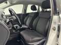 Volkswagen Polo 1.2 TSI 90-PK / BLUEMOTION / HIGHLINE / FULL OPTIO Wit - thumbnail 14