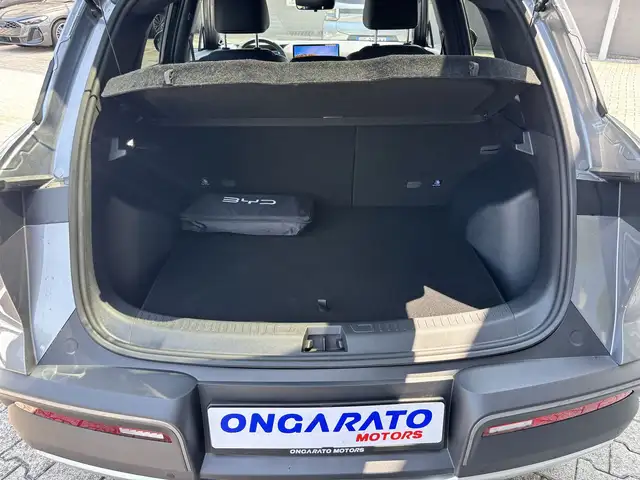 BYD Atto 2 view 8